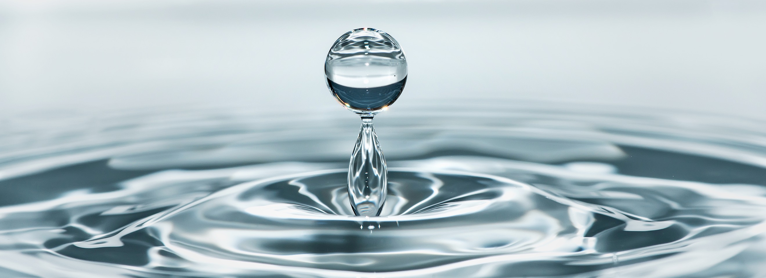 Adhesivo a base de agua para la película de laminación TL-08L