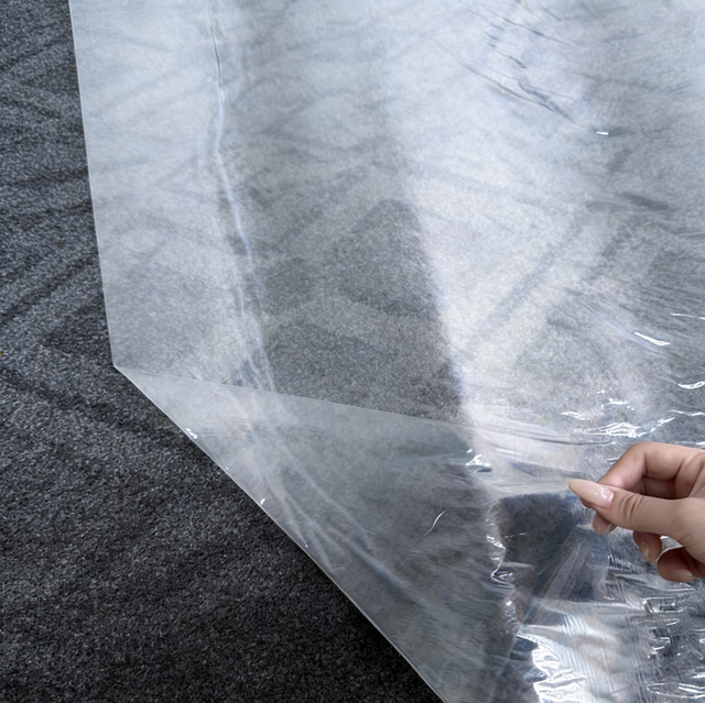 Película protectora transparente aplicada a la alfombra.