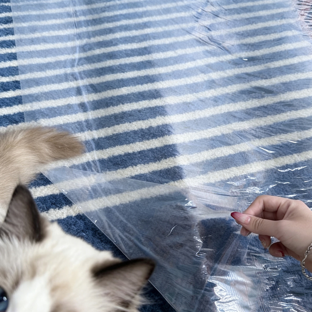 Película protectora para alfombras que admite mascotas