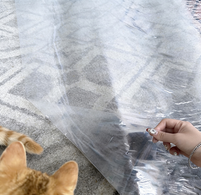 Película protectora de alfombras transparente para hogares con mascotas.